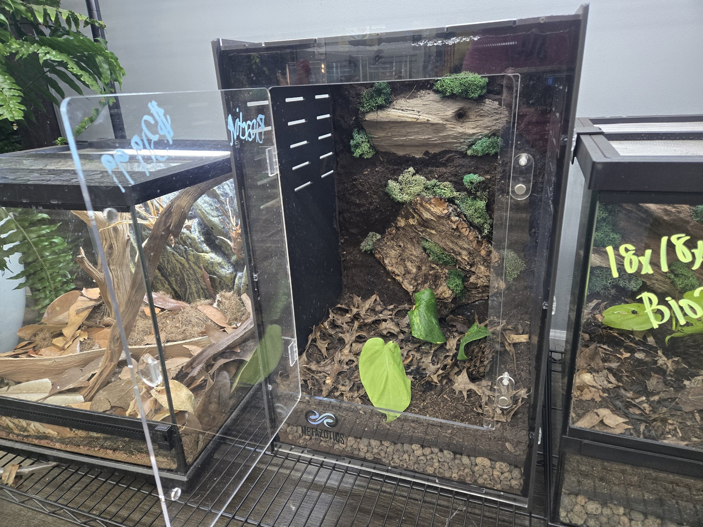 Premade Bioactive Enclosures for Sale! | Metazotics