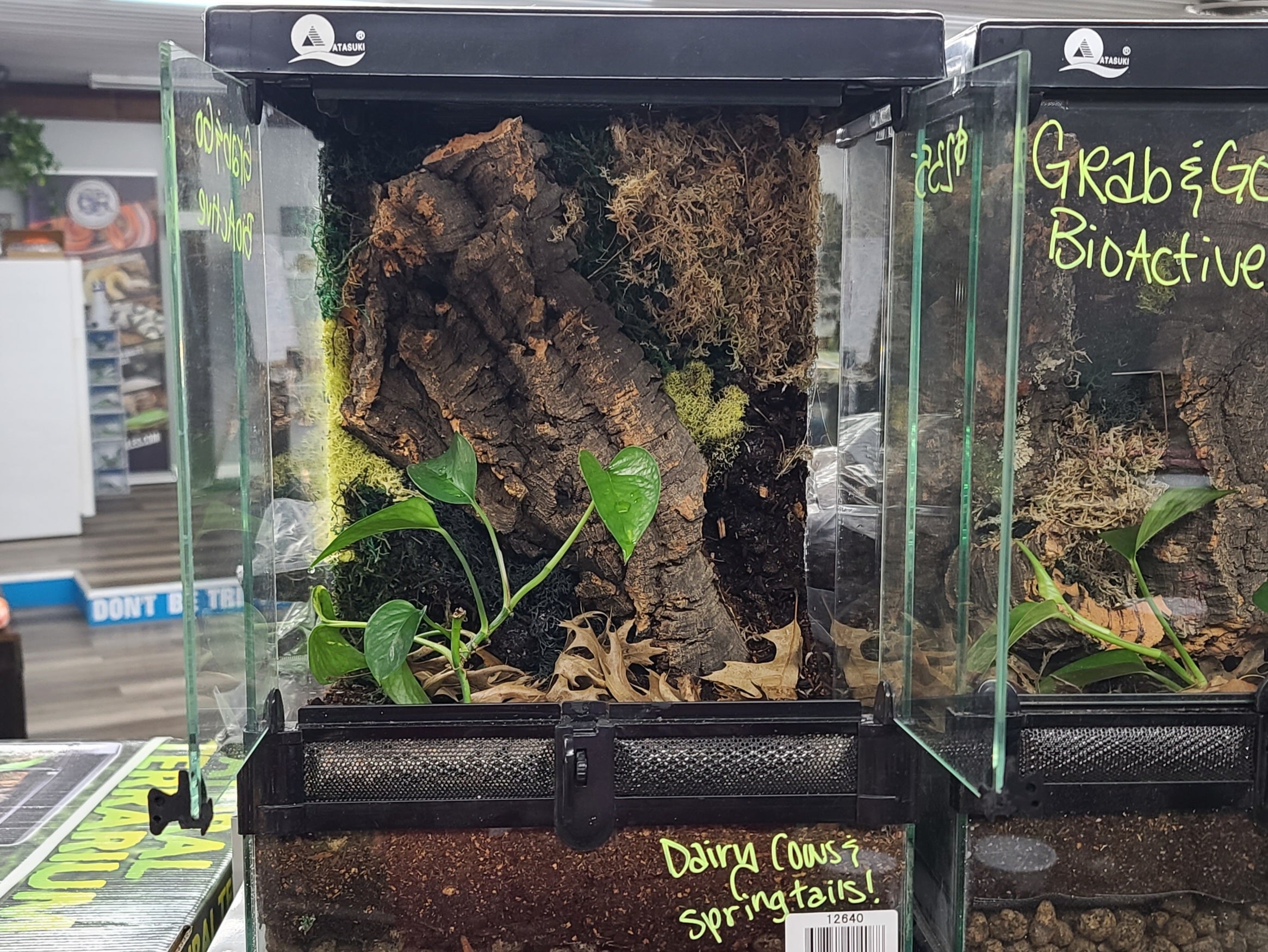 Premade Bioactive Enclosures for Sale! | Metazotics
